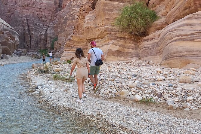 One Day Hiking Wadi Al Hasa Canyon - Traveler Reviews and Ratings