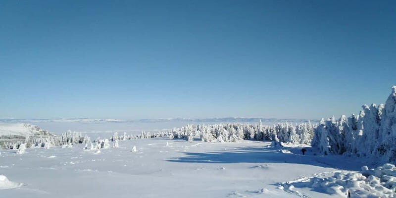 One-Day Hiking with Snowshoes on Vitosha - Key Points