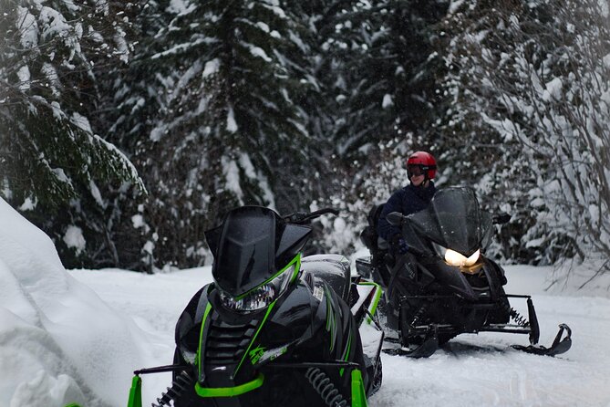 One Day in the Mountains: Bakuriani Ski Resort & Borjomi From Kutaisi - Key Points
