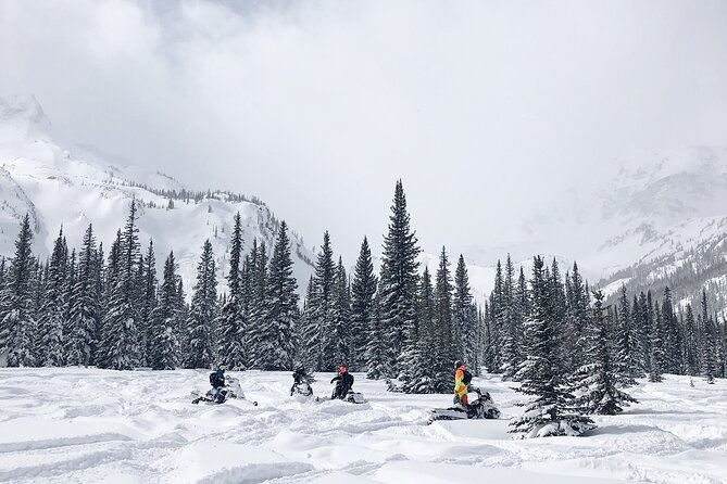 One Day in the Mountains: Bakuriani Ski Resort & Borjomi From Kutaisi - Inclusions