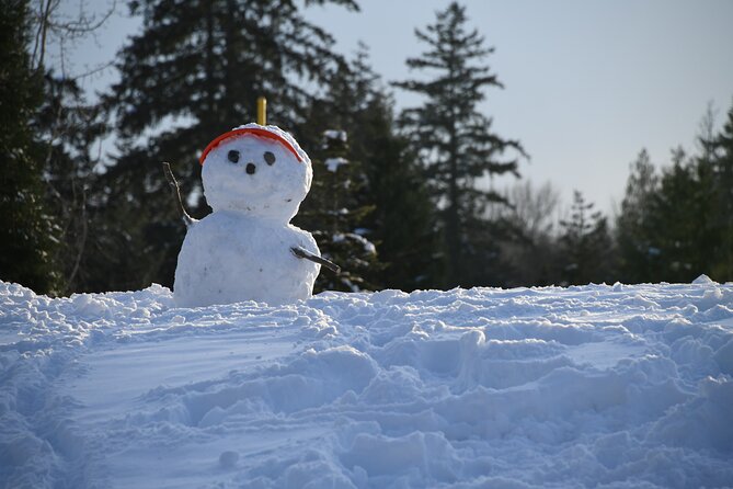 One Day in the Mountains: Bakuriani Ski Resort & Borjomi From Kutaisi - Reviews
