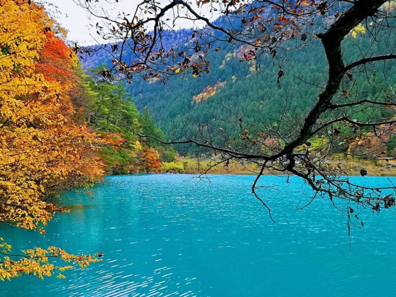 One Day Jade Dragon Snow Mountain Tour in From Lijiang - Customer Feedback