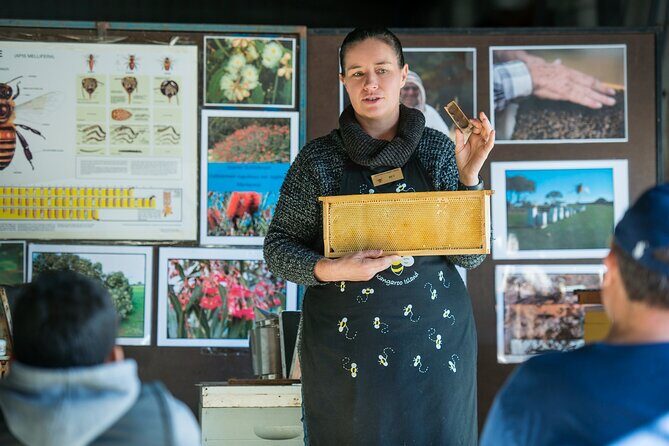 One Day Kangaroo Island Sip & See tour with return ferry transfers from Adelaide - The Sum Up: Who Should Consider This Tour?