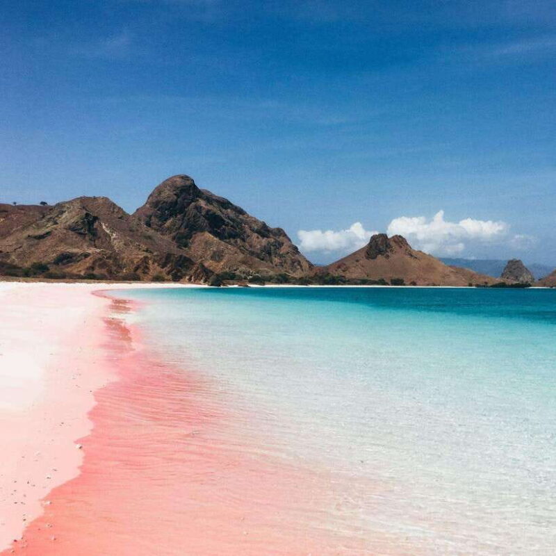 One-Day Komodo Tour By Speedboat - Who Should Consider This Tour?