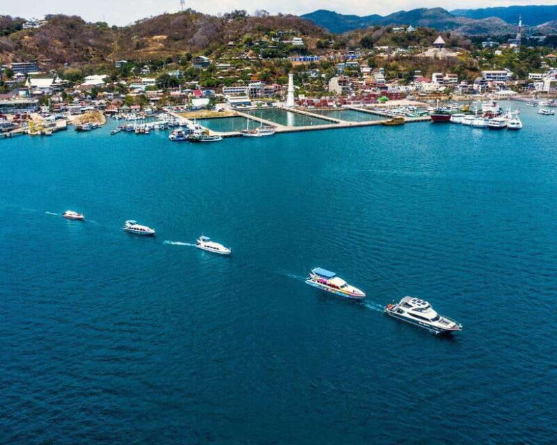 One-Day Komodo Tour By Speedboat - FAQ