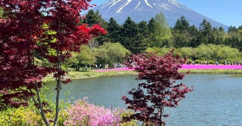 One Day Mt Fuji Private Tour With English Speaking Driver - Itinerary Highlights