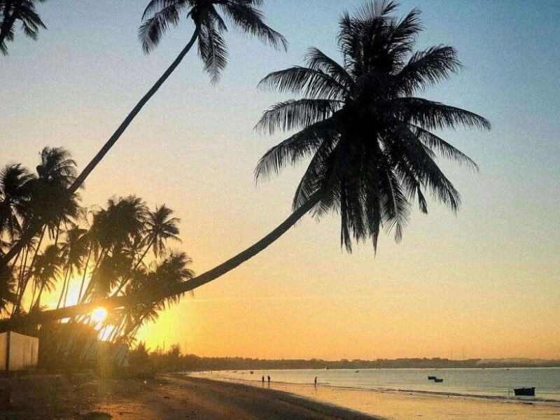One-Day Mui Ne Adventure From Ho Chi Minh City - Key Points