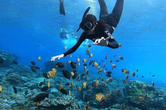 One Day Nusa Penida Island West With Snorkeling - Tour Itinerary