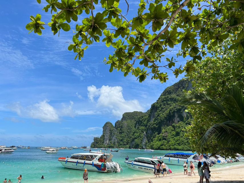 One Day Phi Phi Island by Speed Boat ( Join ) - Included in the Tour