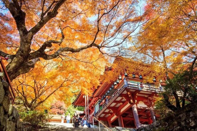 One Day Private Customized Self-Guided Tour in Nara - Tips for a Great Experience