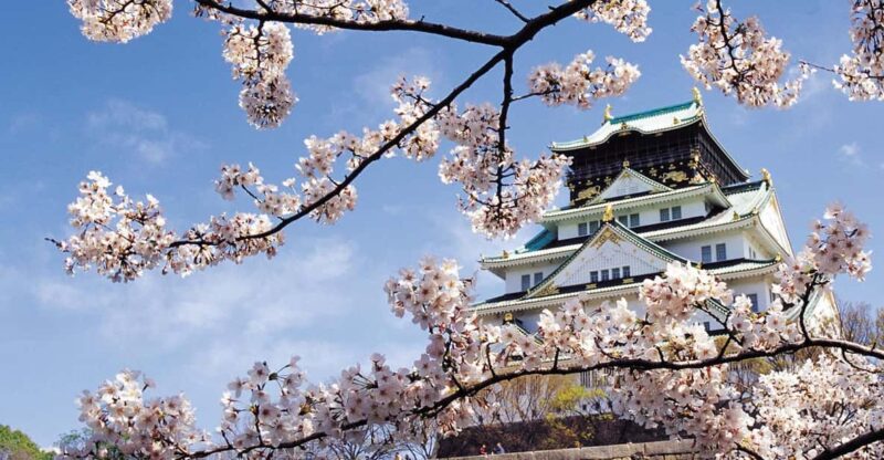 One Day Private Customized Self-Guided Tour in Osaka - Customizable Itinerary Options