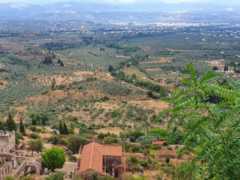 One Day Private Tour to Glory of Ancient Sparta and Mystras - Visit to Sparta