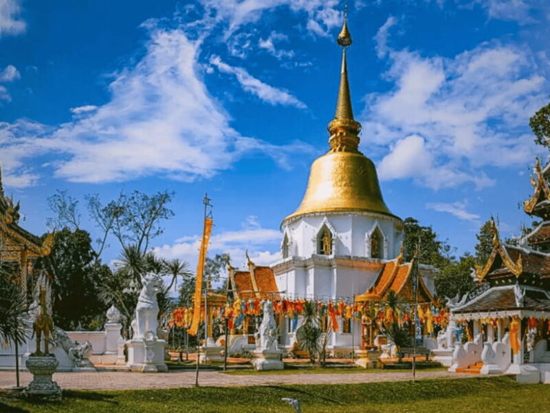 One-Day Private Tour With Driver :Temples & Mae Sa Waterfall - Transportation and Driver Information