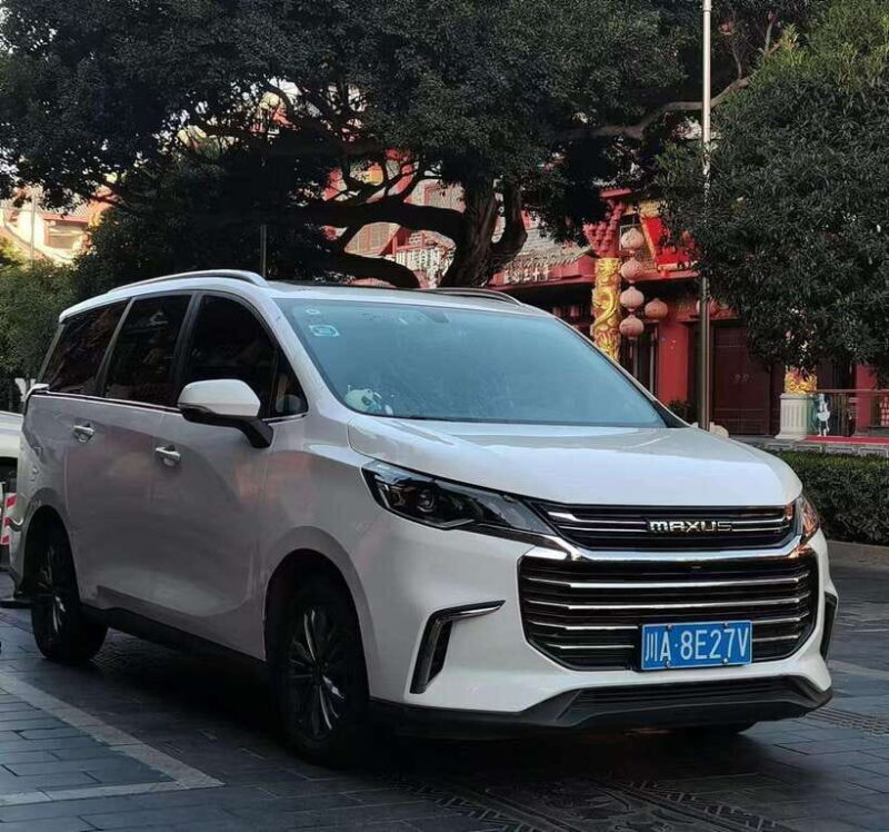 One-day private transfer service to Leshan from Chengdu - Why choose this private transfer?