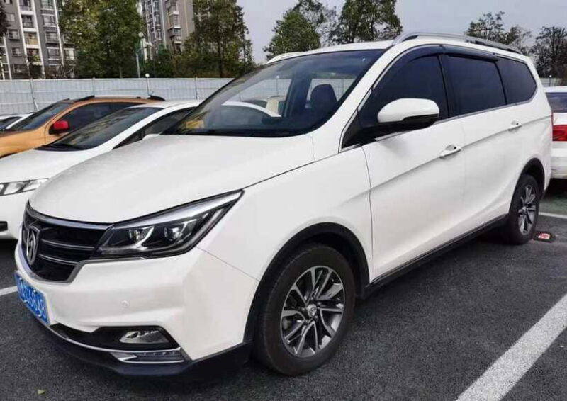 One-day private transfer service to Leshan from Chengdu - How does this experience compare with other tours?