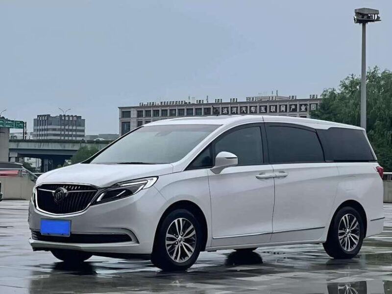 One-day private transfer service to Leshan from Chengdu - Practical tips for travelers