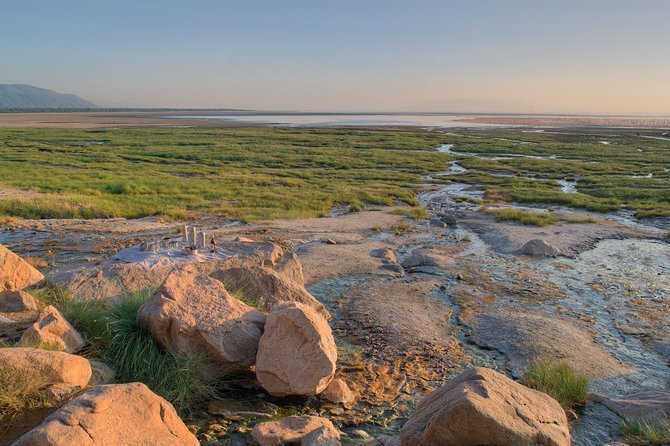 One Day Safari to Lake Manyara - What to Expect on Safari