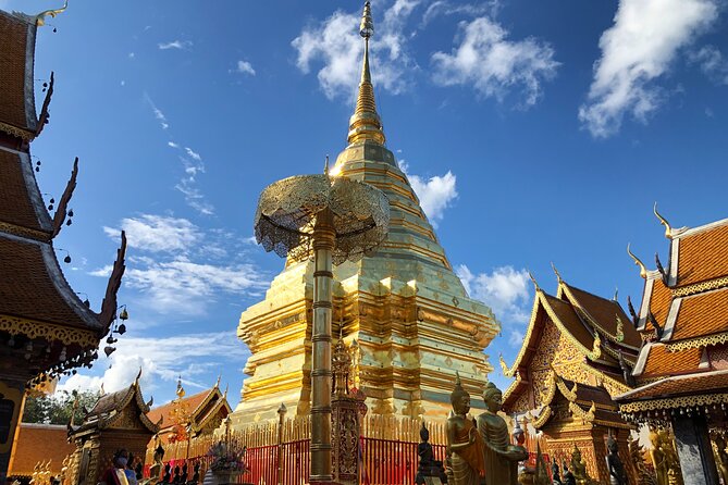 One Day Tour Doi Suthep Temple, Palad Temple, Orchid Farm, Longneck Hill Tribe Village (Private Tour) - Inclusions and Amenities