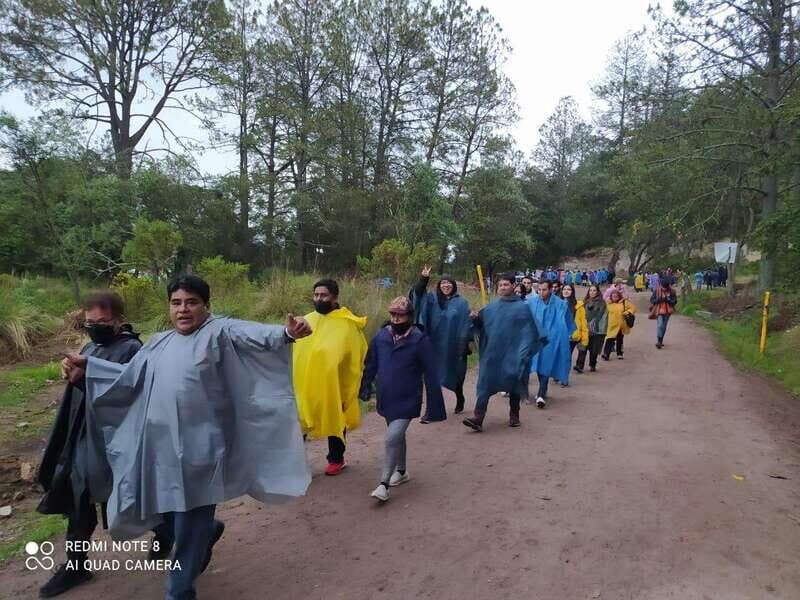 One day tour from Mexico City to Firefly Sanctuary - The Itinerary Breakdown