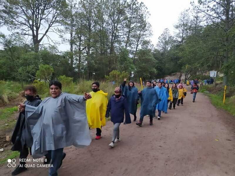 One day tour from Mexico City to Firefly Sanctuary - The Sum Up