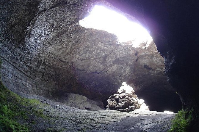 One Day Tour in Catania and Trekking on Etna - Reviews