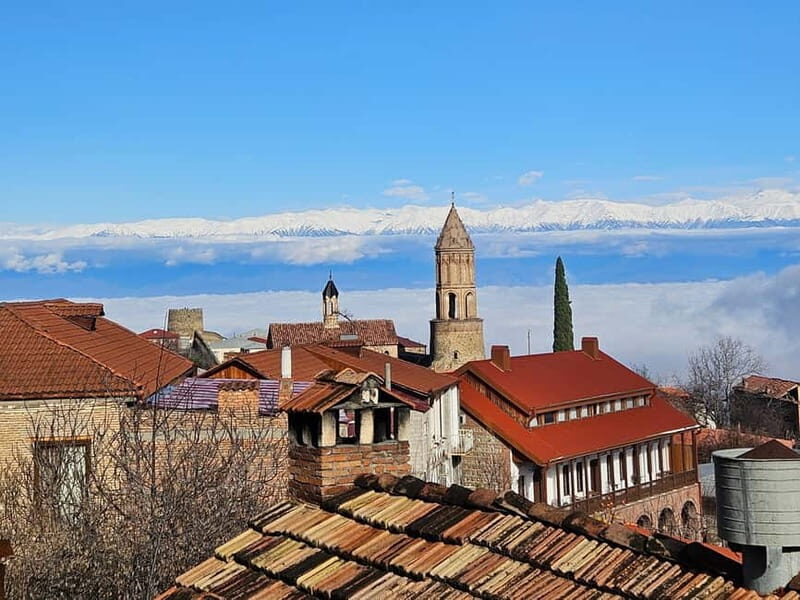 One-day tour in Kakheti with a guide and free wine tasting - Who Will Love This Tour?