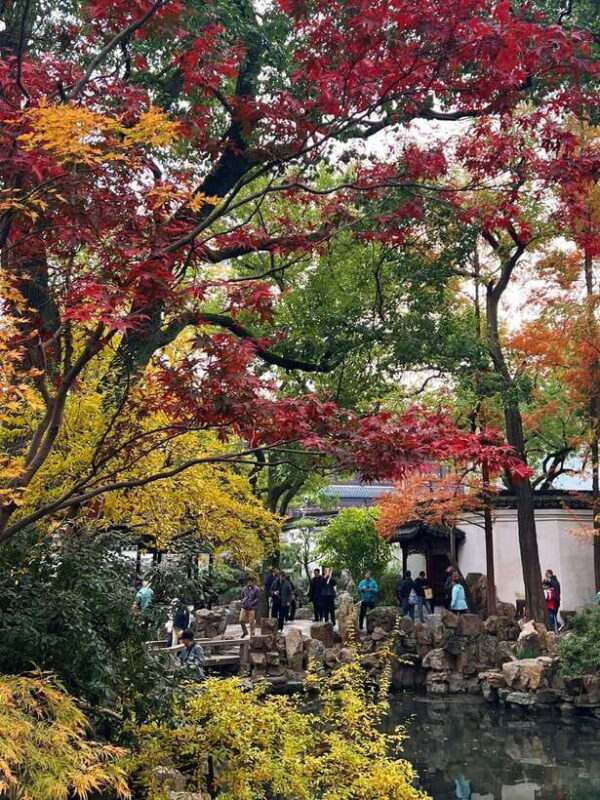 One Day Tour in Shanghai Layover Friendly the Bund/Yu Garden - A Practical Introduction to Shanghai’s Highlights