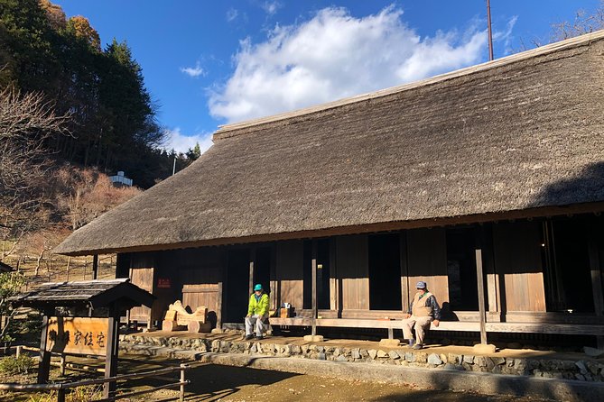 One Day Tour of Tokyos Plentiful Nature in Hinohara Village - Monorail and Foot Bath Experience