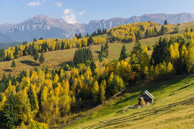 One Day Tour to Bran Castle and Hiking in Piatra Craiului National Park - Tour Reviews and Ratings