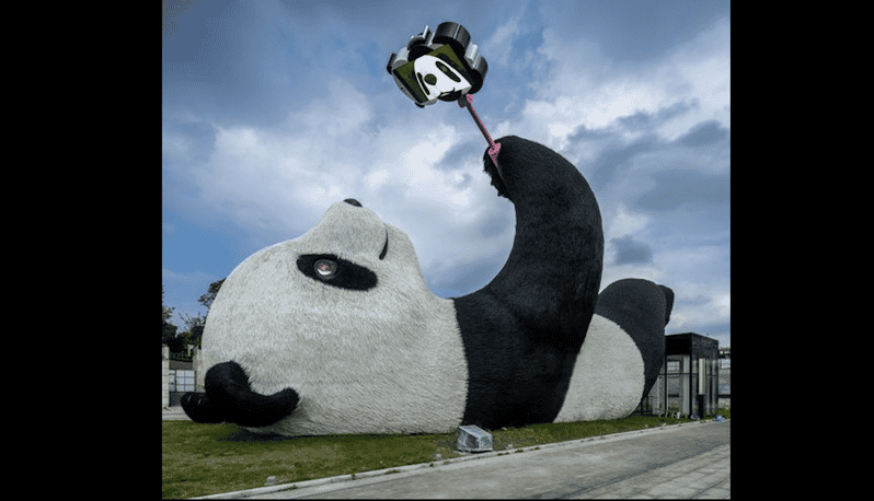 One-Day Tour to Dujiangyan Panda Valley. - Experience Highlights