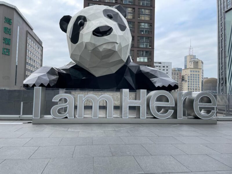 One-Day Tour to Dujiangyan Panda Valley. - Itinerary Details