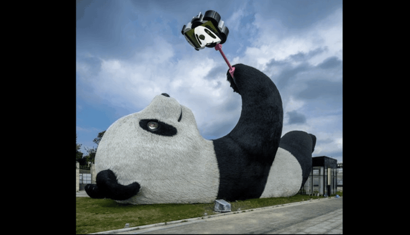 One-Day Tour to Dujiangyan Panda Valley. - Important Information