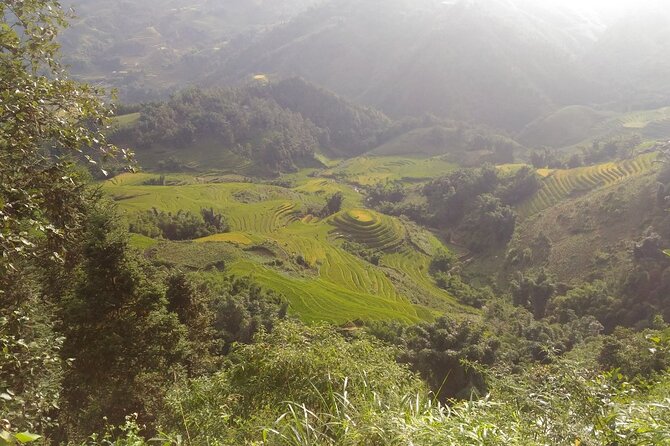 One Day Trekking in Sapa and Muong Hoa Valley With Local Guide - Customer Feedback