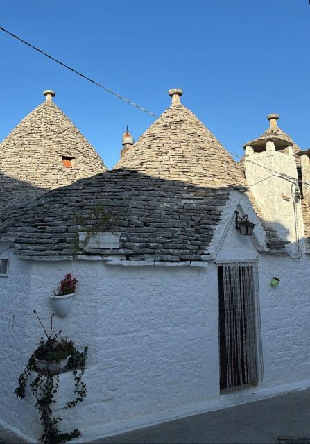 One Day Trip to Ostuni and Alberobello - Panoramic Views of Historic Ostuni