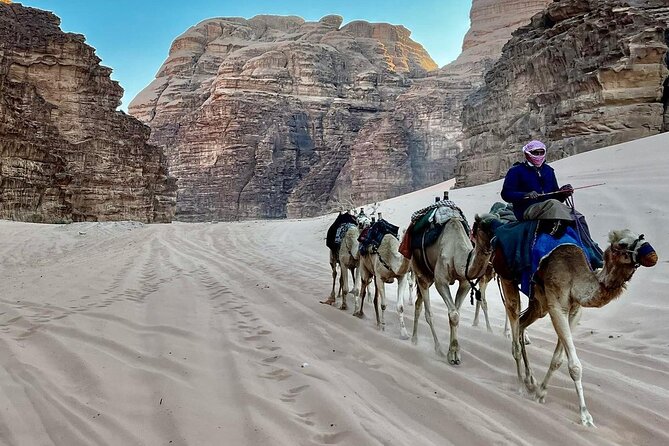 One Day Wadi Rum From Aqaba - Health and Safety Guidelines