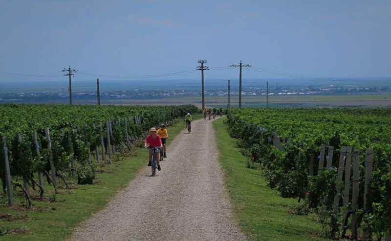 One Day Wine Route by Bike - Good To Know