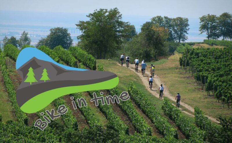 One Day Wine Route by Bike - Experience Highlights