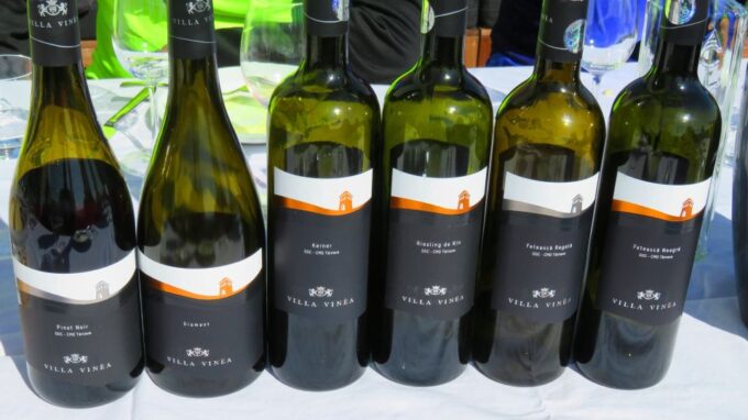 One Day Wine Route by Bike - Cycling Routes and Options