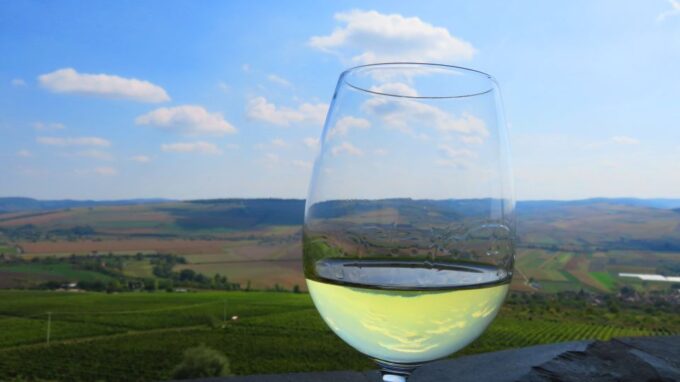 One Day Wine Route by Bike - Tips for Participants