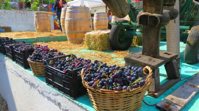 One Day Wine Route by Bike - Booking and Cancellation Policy