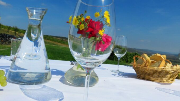 One Day Wine Route by Bike - Frequently Asked Questions