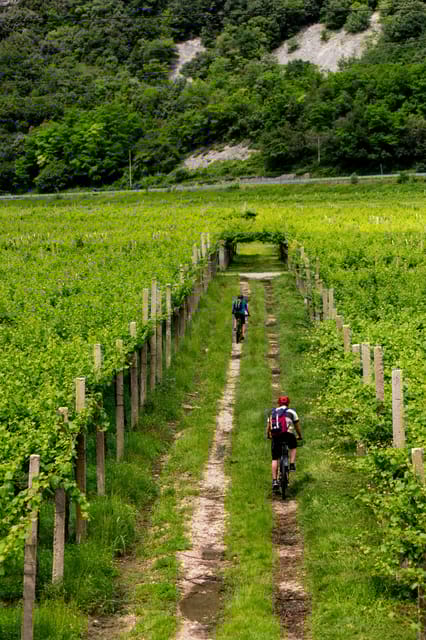 One Day Winery Tour with Wine Tasting and Cheese snack - Key Points