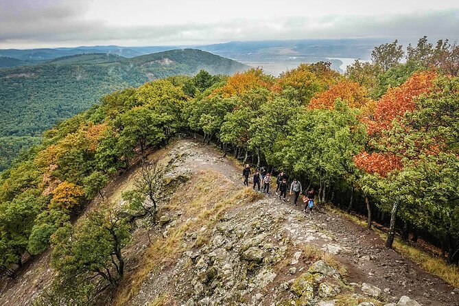 One Day Wonder Hiking Trip - Climate-controlled Transportation Provided
