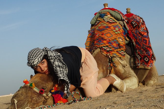 One Hour Camel Ride at Amazing Desert With Transfer - Sharm El Sheikh - Inclusions of the Experience