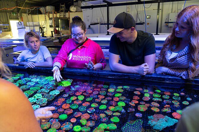 One Hour Coral Farm Tour, Discover Australia's Marine Life - Why This Tour Is Worth It