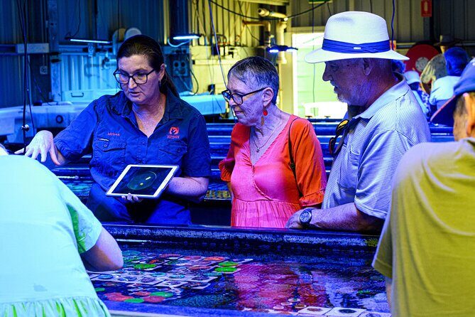 One Hour Coral Farm Tour, Discover Australia's Marine Life - Who Should Consider This Tour?