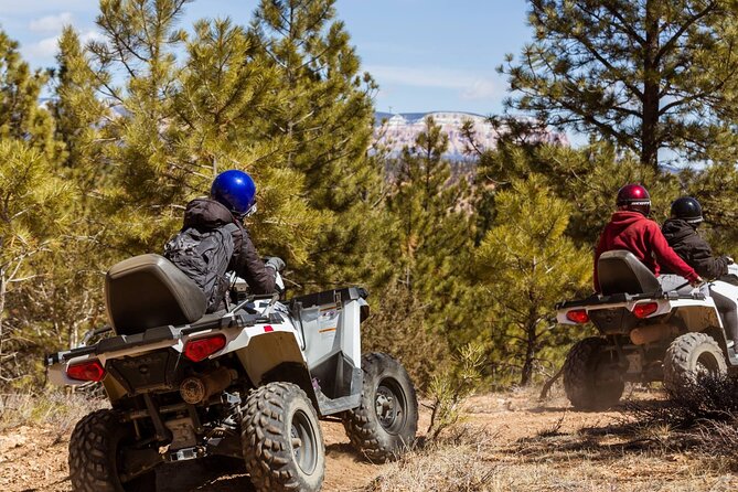 One Hour Guided ATV Ride in Utah - Practical Considerations