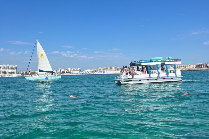 One Hour Harbor Shared Tour Review - Final Thoughts