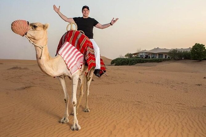 One Hour Horse or Camel Riding With Transfer- Sharm El-Sheikh - Feedback and Improvement Areas