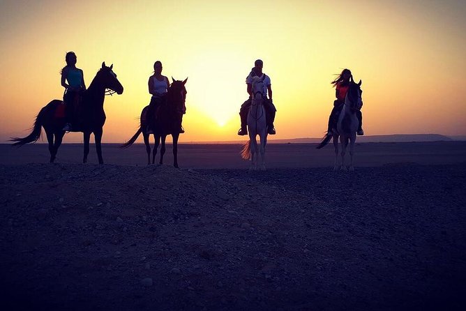 One Hour Horse Riding at Desert With Transfer - Sharm El Sheikh - Safety and Accessibility